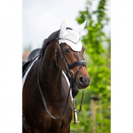 HB Showtime Glitter Earnet ST Logo