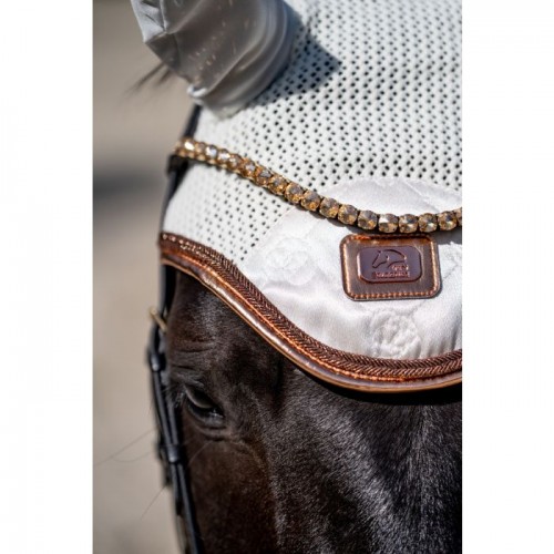 HKM Ear Net Edinburgh