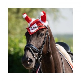 HB Earnet Christmas