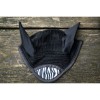 HB Earnet Zebra
