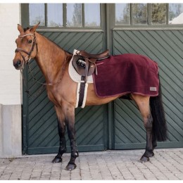 Kentucky Quarter Rug Heavy Fleece