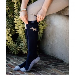 Kentucky Socks Sammy