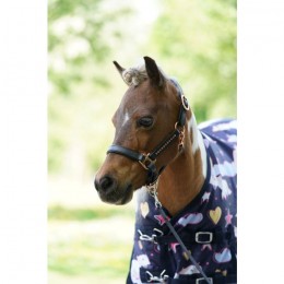 HB Turnout Rug Unicorn Dream 0g