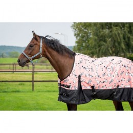 HB Outdoor Rug 200g Mr Squeez