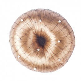 Horka Hairnet Pearl