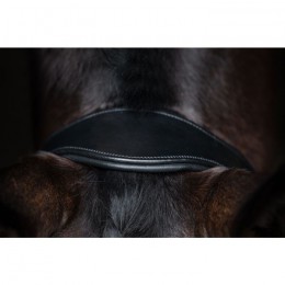HKM Bridle Ira