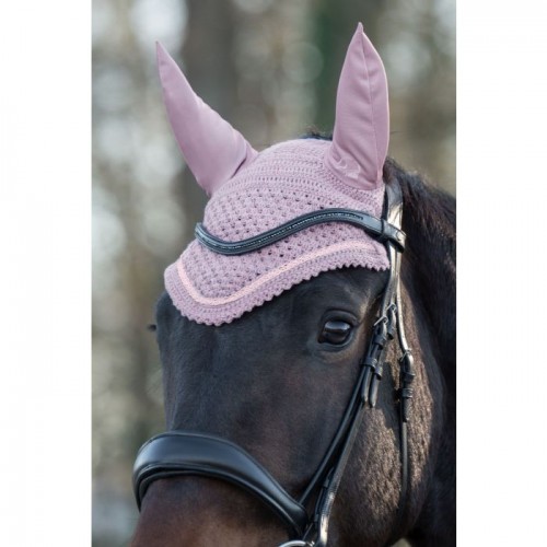 HKM Earnet Daphne
