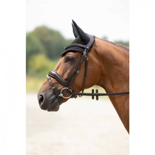 HKM Earnet Daphne