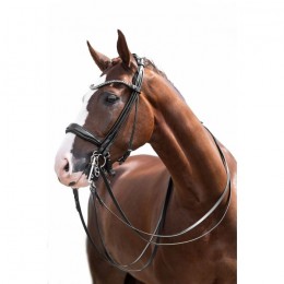 HKM Double Bridle Kate