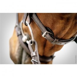 Schockemöhle Bridle Cape Town Select