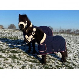 HB Showtime Harry and Hector Dutch Crown Showrug little sizes