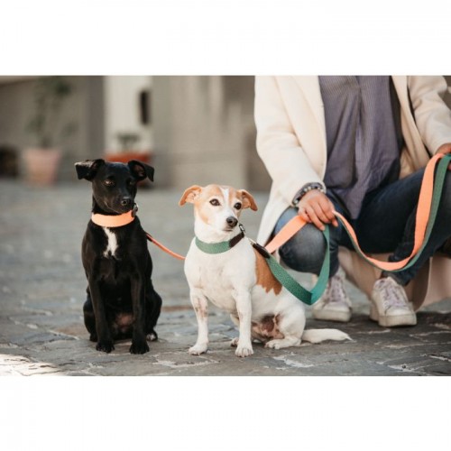 Kentucky Dog Lead Jacquard 140 cm