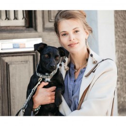 Kentucky Dog Collar Pied-de-Poule