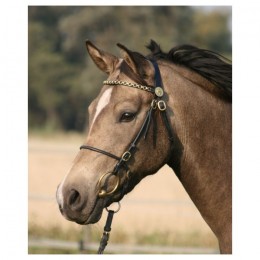 Luxury Show bridle with copper-colored accessoires