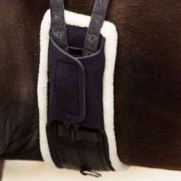 Imperial Riding FW'24 Dressage Girth IRHComfort