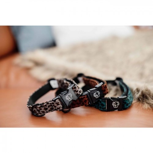 Kentucky Dog Collar Leopard