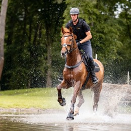 Kavalkade Breastplate Jerome