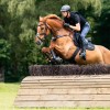 Kavalkade Breastplate Jerome
