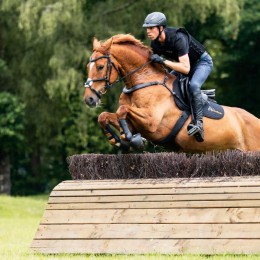 Kavalkade Breastplate Jerome