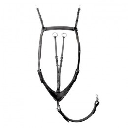 Kavalkade 3-point breastplate Robin