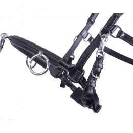 QHP Cavesson Leather