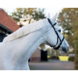 QHP Cavesson Leather