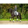 Equestic Saddle Clip