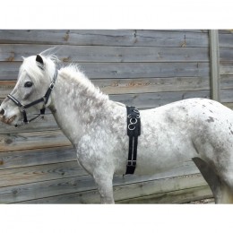 HB Lunging Girths Little Sizes