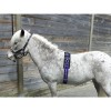 HB Lunging Girths Little Sizes