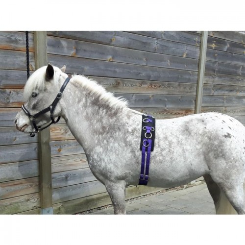 HB Lunging Girths Little Sizes