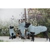Kentucky Dog Coat Winter Pina