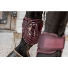 Kentucky Young Horse Fetlock Boots