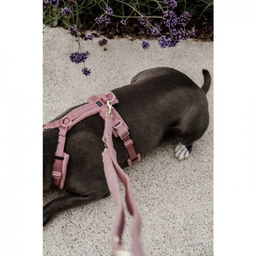 Kentucky Dog Leash Teddy Fleece 200cm