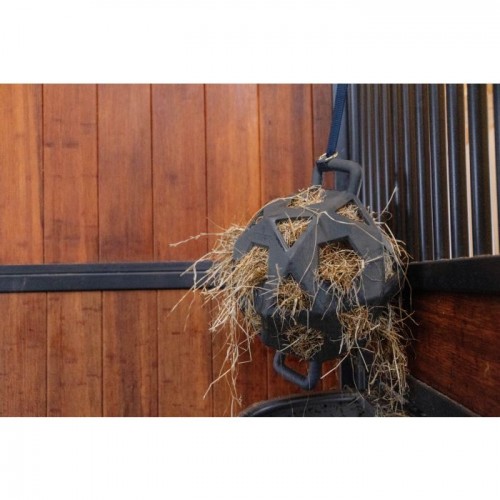 Kentucky Relax Horse Play