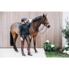 Dyon Leather Long Chaps