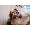 Kentucky Teddy Fleece Halter