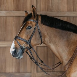 Dyon Working Motion Bridle