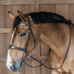 Dyon Working Motion Bridle
