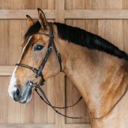 Dyon Round Leather Bridle Working Collection