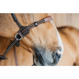 Dyon Bitless Bridle Working Collection