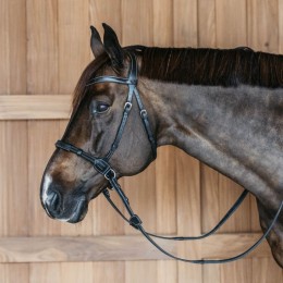 Dyon Bitless Bridle Working Collection