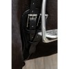 Kentucky Anatomic Short Girth