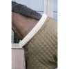 Kentucky Show Rug 160g Khaki