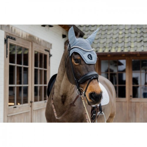 Kentucky Earnet Wellington 3D Logo Soundless