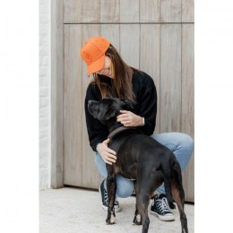 Kentucky Cap 3D Logo