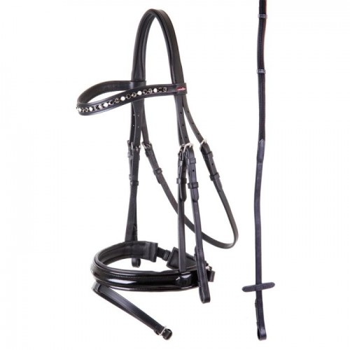 Premiere Bridle Grenoble