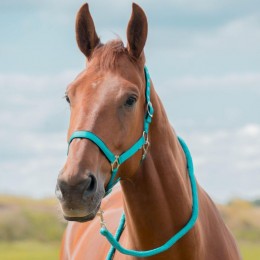 Horka Headcollar Set Dime