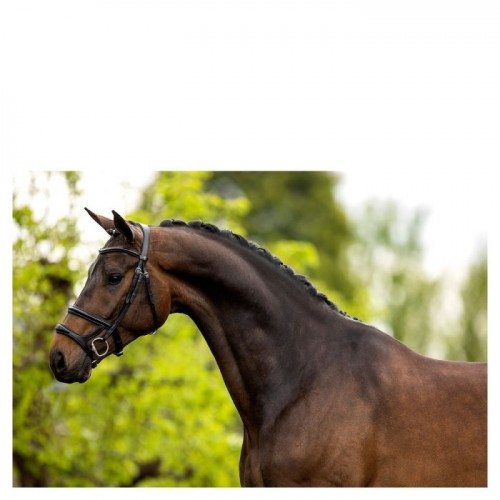 BR Bridle Bath