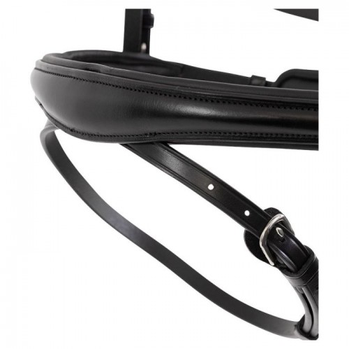 BR Bridle Credition