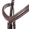 Kavalkade Bridle Robin